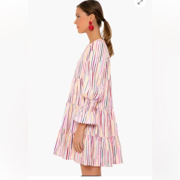 POMANDER PLACE Tuckernuck Bermuda Pink Sorbet Kenzo Dress size Large - Picture 6 of 8